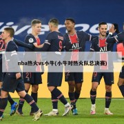 nba热火vs小牛(小牛对热火队总决赛)