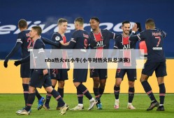 nba热火vs小牛(小牛对热火队总决赛)