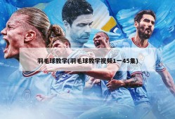 羽毛球教学(羽毛球教学视频1一45集)