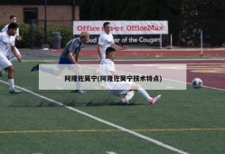 阿隆佐莫宁(阿隆佐莫宁技术特点)