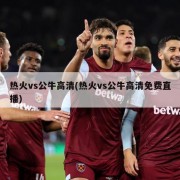 热火vs公牛高清(热火vs公牛高清免费直播)