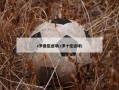 c罗最佳进球(c罗十佳进球)