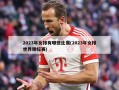 2023年女排有哪些比赛(2023年女排世界锦标赛)