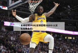 足球经理2020(足球经理2020十八汉化无限金币)