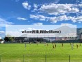 wilson网球(网球williams)