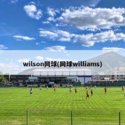 wilson网球(网球williams)