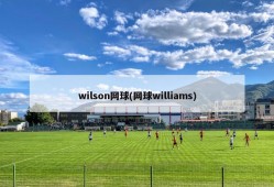 wilson网球(网球williams)