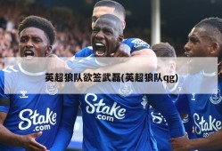 英超狼队欲签武磊(英超狼队qg)