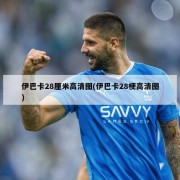 伊巴卡28厘米高清图(伊巴卡28梗高清图)