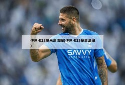 伊巴卡28厘米高清图(伊巴卡28梗高清图)