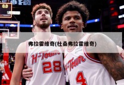 弗拉霍维奇(杜桑弗拉霍维奇)