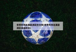世界杯预选赛亚洲区积分榜(世界杯预选赛亚洲区各组积分)