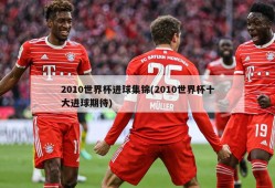 2010世界杯进球集锦(2010世界杯十大进球期待)
