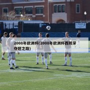 2008年欧洲杯(2008年欧洲杯西班牙夺冠之路)