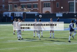 2008年欧洲杯(2008年欧洲杯西班牙夺冠之路)