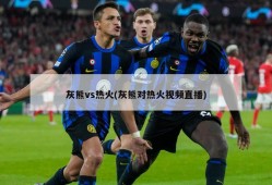 灰熊vs热火(灰熊对热火视频直播)
