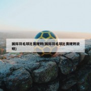 国际羽毛球比赛规则(国际羽毛球比赛规则说明)