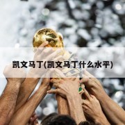 凯文马丁(凯文马丁什么水平)