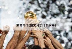 凯文马丁(凯文马丁什么水平)