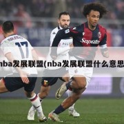 nba发展联盟(nba发展联盟什么意思)