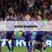 张镇麟(张镇麟微博)