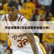 羽毛球赛事(羽毛球赛事有哪几种)