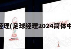 足球经理(足球经理2024简体中文版)
