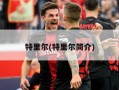 特里尔(特里尔简介)