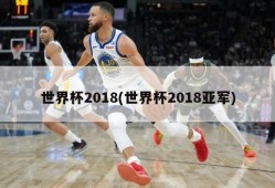 世界杯2018(世界杯2018亚军)