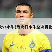 热火vs小牛(热火打小牛总决赛比分)
