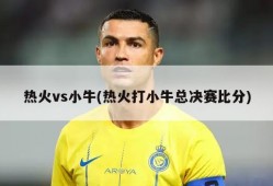 热火vs小牛(热火打小牛总决赛比分)