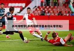 乒乓球教学(乒乓球教学基本功从零开始)