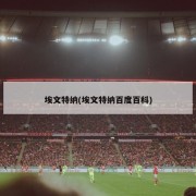 埃文特纳(埃文特纳百度百科)