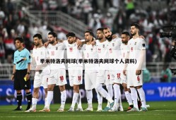 季米特洛夫网球(季米特洛夫网球个人资料)
