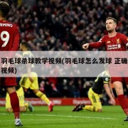羽毛球杀球教学视频(羽毛球怎么发球 正确视频)