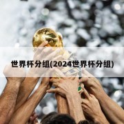 世界杯分组(2024世界杯分组)