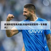 欧洲杯冠军表历届(历届欧冠冠亚军一览表图片)