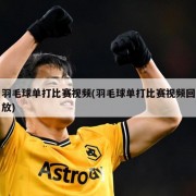 羽毛球单打比赛视频(羽毛球单打比赛视频回放)