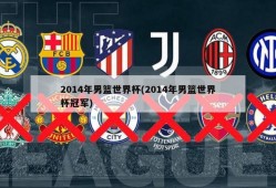 2014年男篮世界杯(2014年男篮世界杯冠军)