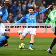 羽毛球男单世界排名(羽毛球男单世界排名前100)