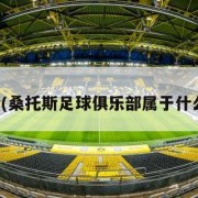 桑托斯(桑托斯足球俱乐部属于什么联赛)