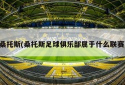 桑托斯(桑托斯足球俱乐部属于什么联赛)