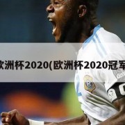 欧洲杯2020(欧洲杯2020冠军)
