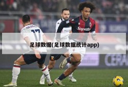 足球数据(足球数据统计app)