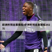 欧洲杯预选赛赛程(欧洲杯预选赛赛程2023)