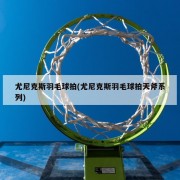 尤尼克斯羽毛球拍(尤尼克斯羽毛球拍天斧系列)