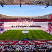 埃尔文海耶斯(埃尔文海耶斯外号)