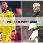 中国羽毛球网(中国羽毛球网红)