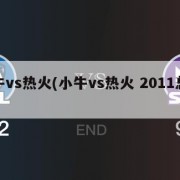 小牛vs热火(小牛vs热火 2011总决赛)
