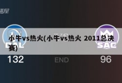 小牛vs热火(小牛vs热火 2011总决赛)